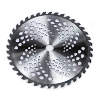 Vidiový pilový kotouč s SK plátky pro křovinořez, 255 × 1,6 × 25,4 mm, 40 zubů – DEMON M08983