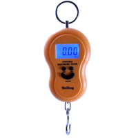Přenosná digitální váha LCD se svítícím displejem GEKO ID997