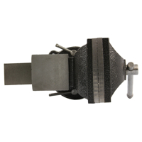 Svěrák 100 mm s kovadlinou - otočný 360 stupňů CATA M36008, M36010