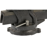 Svěrák 100 mm s kovadlinou - otočný 360 stupňů CATA M36008, M36010