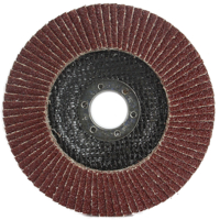 Lamelový kotouč na broušení kovu 125 mm – zrnitost P36 – MAR-POL M07970