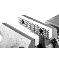 Otočný sústružnícky zverák 100 mm – NEO Tools 35-030